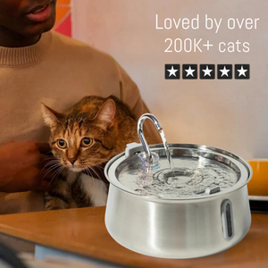 PurrFlow Ultra-Quiet Stainless Steel Cat Water Fountain – 4L BPA-Free Pet Hydration Station