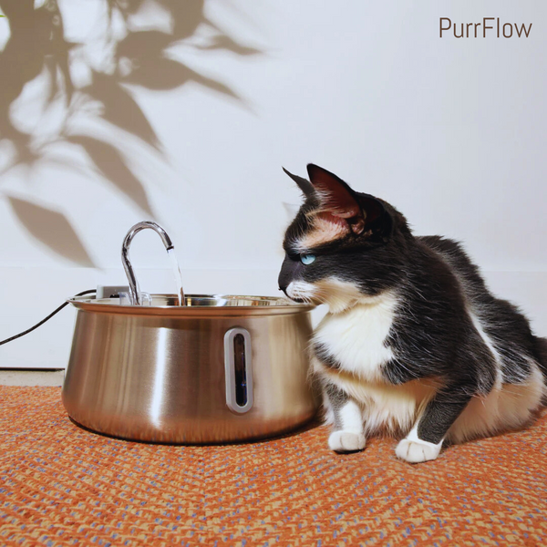 PurrFlow Ultra-Quiet Stainless Steel Cat Water Fountain – 4L BPA-Free Pet Hydration Station