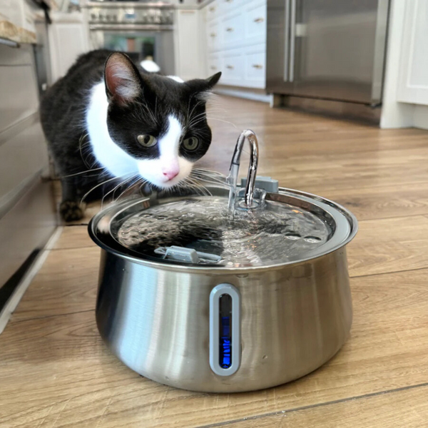 PurrFlow Ultra-Quiet Stainless Steel Cat Water Fountain – 4L BPA-Free Pet Hydration Station