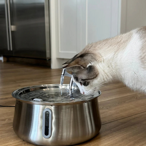 PurrFlow Ultra-Quiet Stainless Steel Cat Water Fountain – 4L BPA-Free Pet Hydration Station