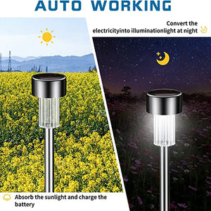 Solar Garden Lights – Waterproof, Energy-Efficient Outdoor Lighting for Gardens & Pathways